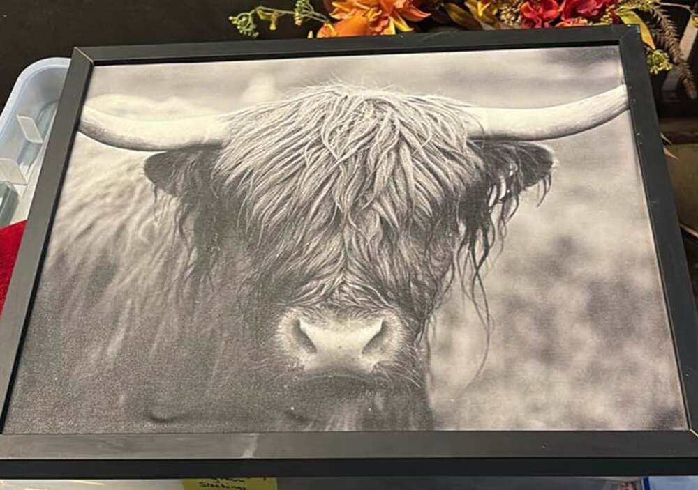 Framed Highland Cow Black and White Print